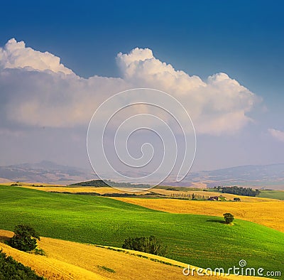 Italian summer countryside landscape â€“ golden and green fields and blue sky Stock Photo